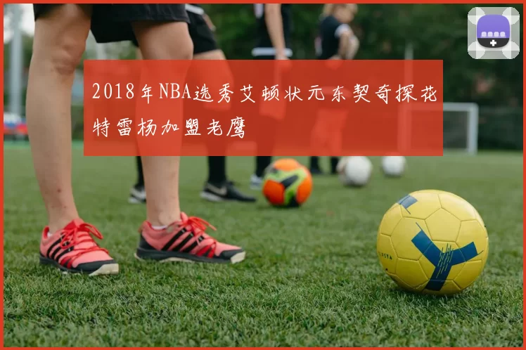 2018年NBA选秀艾顿状元东契奇探花特雷杨加盟老鹰