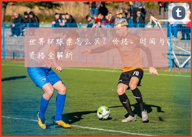 世界杯球票怎么买？价格、时间与资格全解析