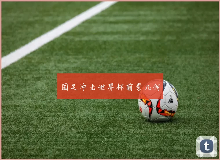 国足冲击世界杯前景几何