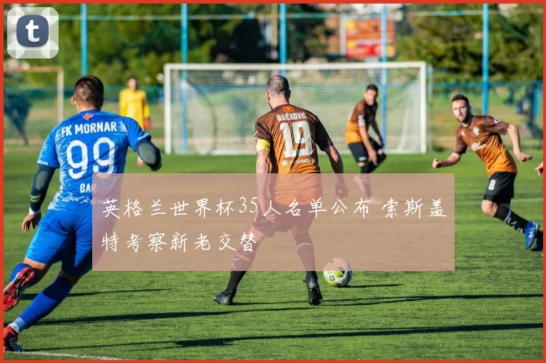 英格兰世界杯35人名单公布 索斯盖特考察新老交替