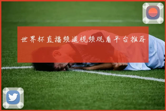 世界杯直播频道视频观看平台推荐