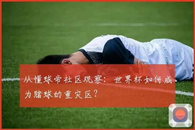 从懂球帝社区观察：世界杯如何成为赌球的重灾区？