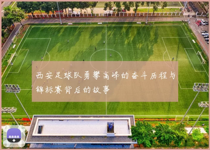 西安足球队勇攀高峰的奋斗历程与锦标赛背后的故事