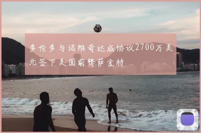 多伦多与诺维奇达成协议2700万美元签下美国前锋萨金特