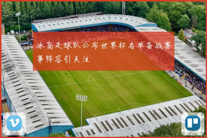 冰岛足球队公布世界杯名单备战赛事阵容引关注
