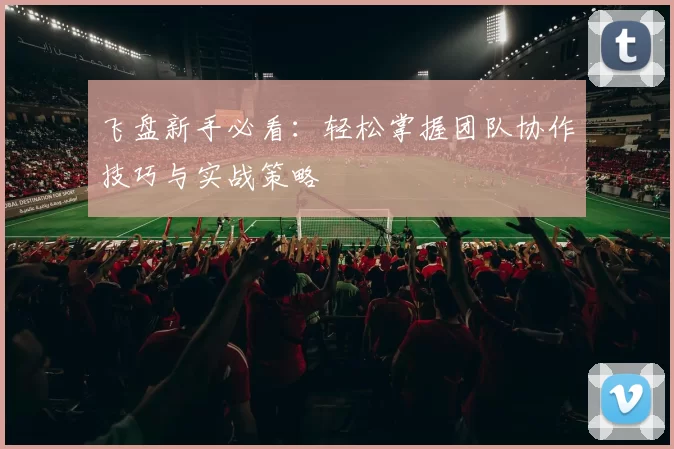 飞盘新手必看：轻松掌握团队协作技巧与实战策略