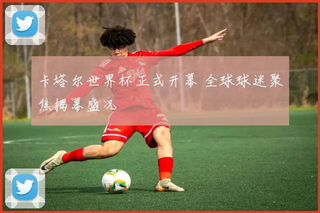 卡塔尔世界杯正式开幕 全球球迷聚焦揭幕盛况