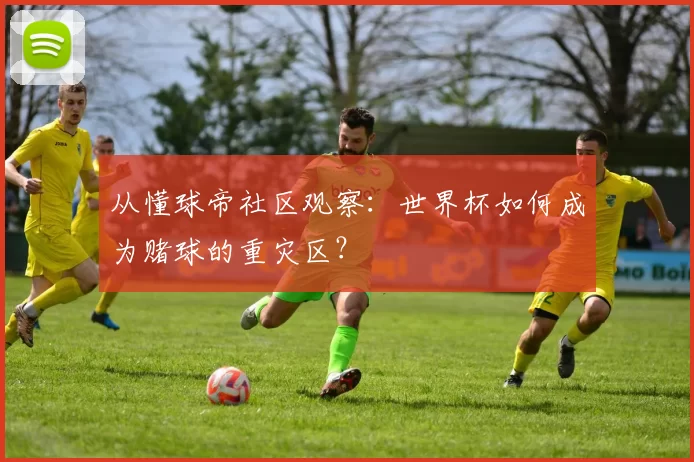 从懂球帝社区观察：世界杯如何成为赌球的重灾区？