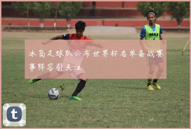 冰岛足球队公布世界杯名单备战赛事阵容引关注
