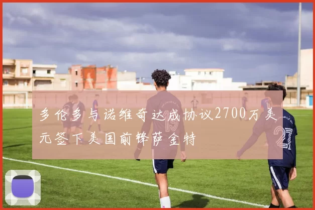 多伦多与诺维奇达成协议2700万美元签下美国前锋萨金特