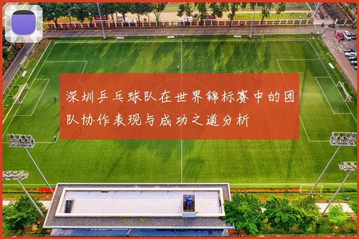 深圳乒乓球队在世界锦标赛中的团队协作表现与成功之道分析